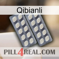 Qibianli 07